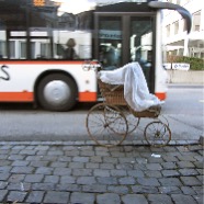 IMG_3115.JPG