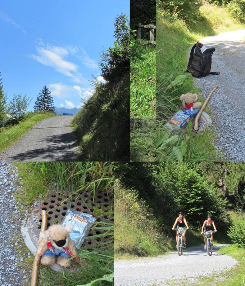laax5web